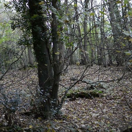 Warren Retreat Ξενοδοχείο Dawlish Εξωτερικό φωτογραφία